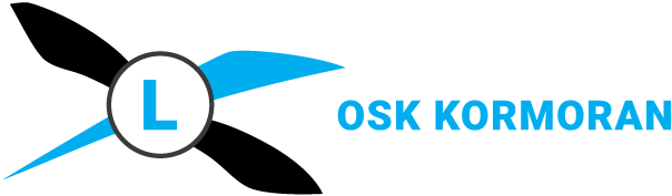 Logo szkoły jazdy